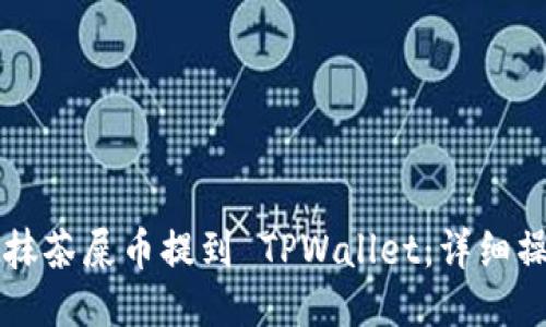 怎么把抹茶屎币提到 TPWallet：详细操作指南