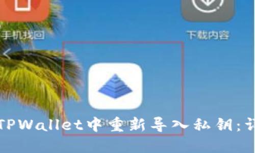 如何在TPWallet中重新导入私钥：详细指南