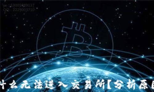 
TPWallet为什么无法进入交易所？分析原因与解决方案