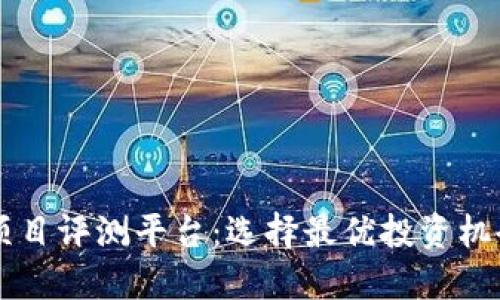 区块链项目评测平台：选择最优投资机会的指南